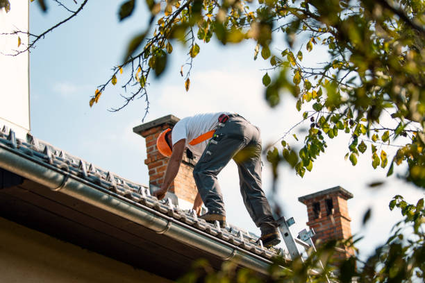 Best Roof Gutter Cleaning  in Kearney, MO