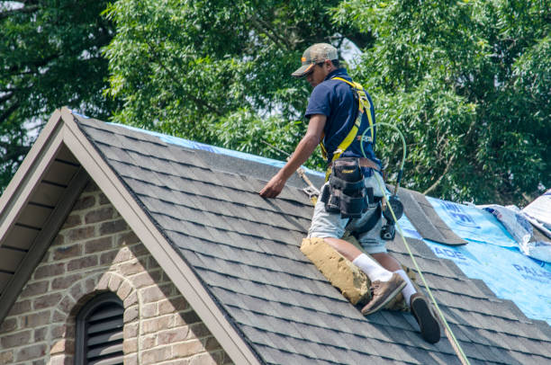 Best Storm Damage Roof Repair  in Kearney, MO